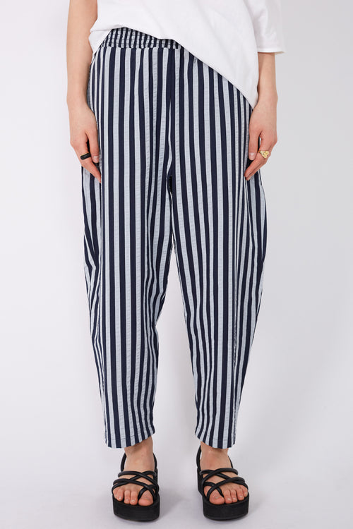 assume pant / navy|blue stripe